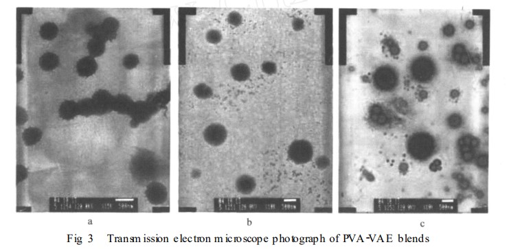 Transmission electron microscope photograph of PVA-VAE blends